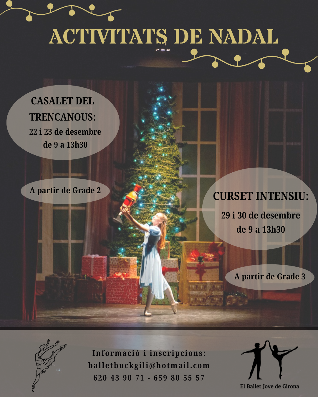 Més informació sobre l'article 📢✨🎄Activitats de Nadal:
